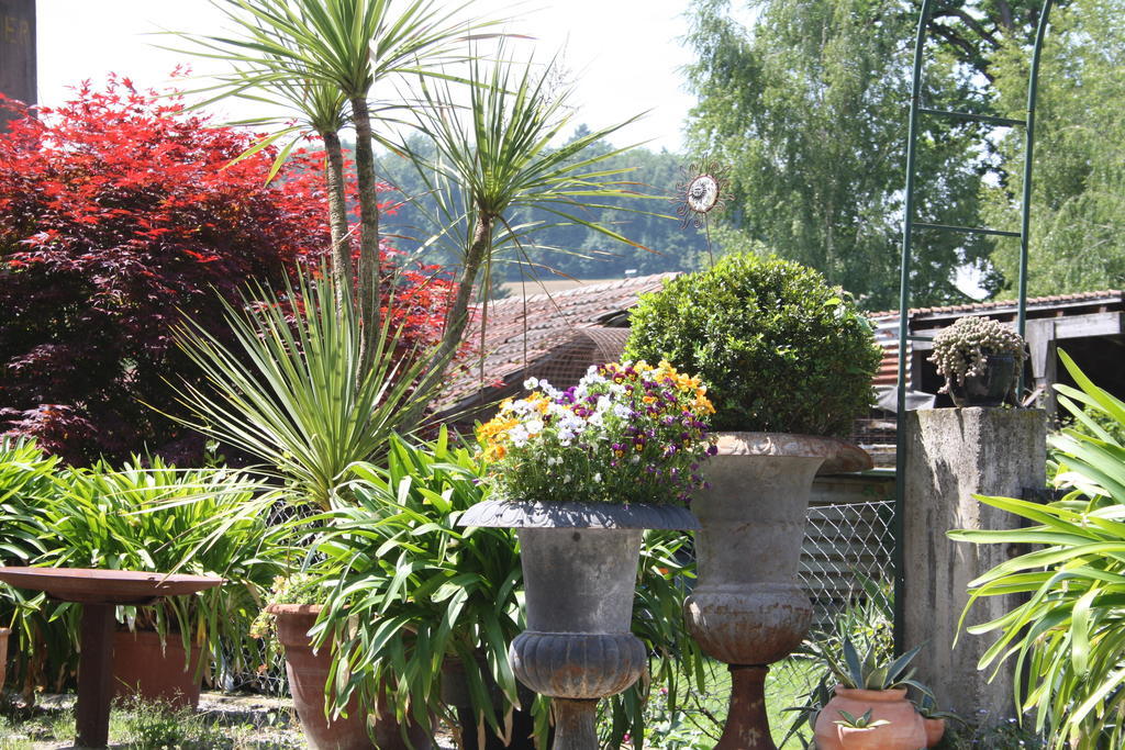 Ofenhaus Villa Murten Room photo